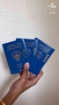 Picture of Passport Pouch -With 4 Passports Labels